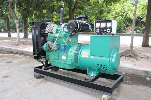 振安发电机不发电的原因